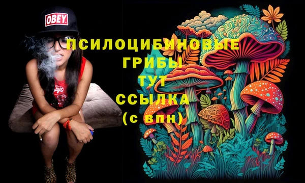 амфетамин Инсар