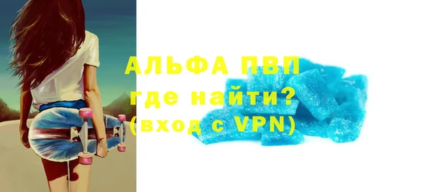 СК Инта