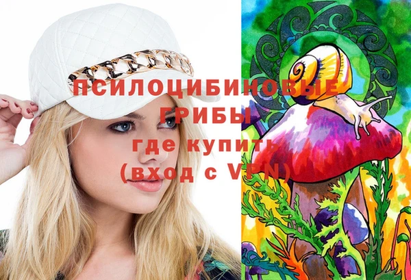 СК Инта
