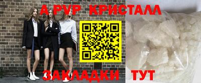бошки Кингисепп