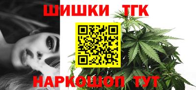 бошки Кингисепп
