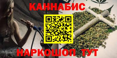 бошки Кингисепп