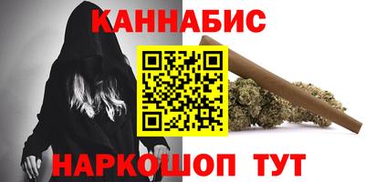 бошки Кингисепп