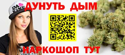 бошки Кингисепп