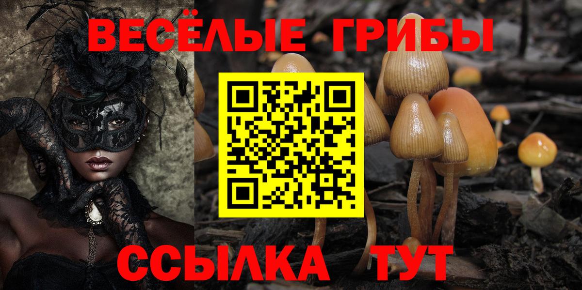 купить наркоту  Псилоцибиновые грибы Cubensis  Псилоцибиновые грибы Cubensis  Вход с VPN  Костомукша 