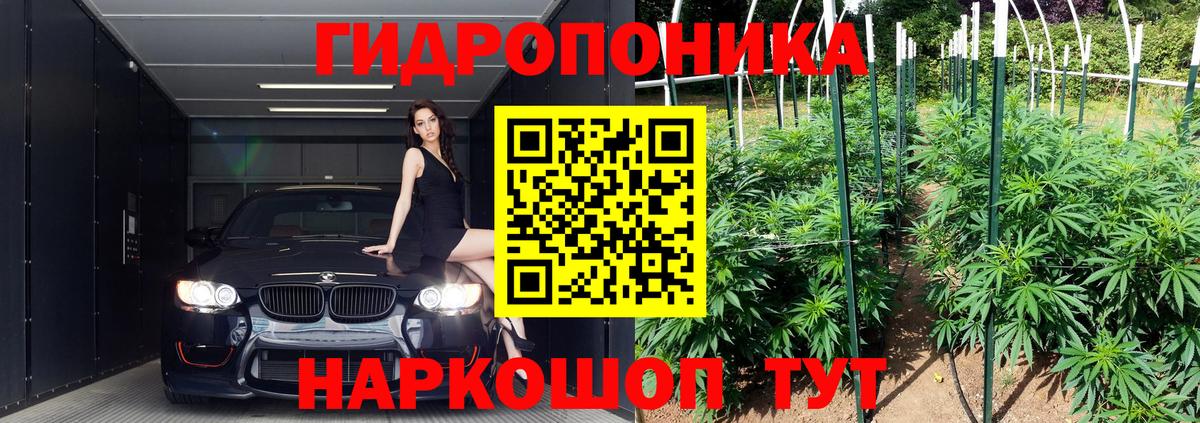 Костомукша  Канабис сатива  Канабис ГИДРОПОН  Вход с VPN  Марихуана сатива 